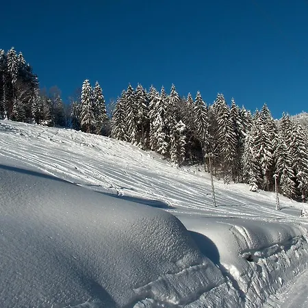 Apartament Malinowa Szczyrk