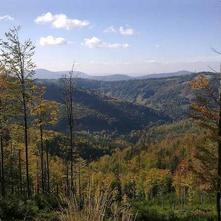 Malinowa Apartament *