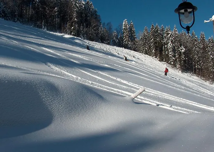 Malinowa Appartement *