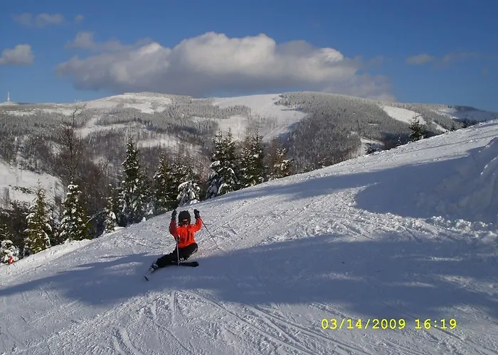 Malinowa Chata Апартаменты