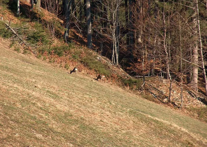 شقة Malinowa شتوروك