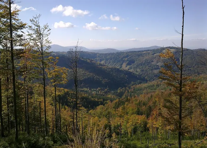 Malinowa Chata Апартаменты *